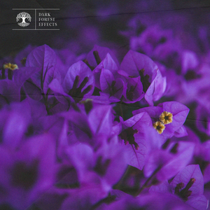 !中国老太做性令A片
